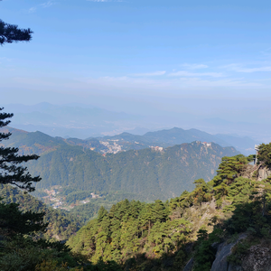 其鸣高亮头像