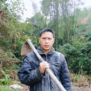 大山里的奇形怪草头像