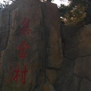 魅力茶都头像