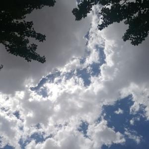 手机用户15047759655头像