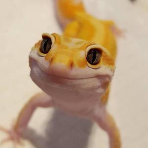 晏元勋头像