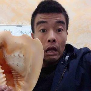 小涛带你吃海鲜头像