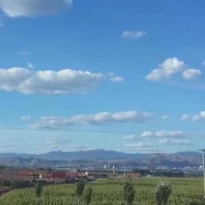 桃子顺顺头像