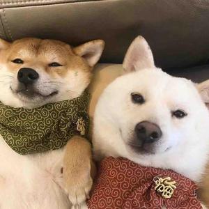 习惯可乐头像