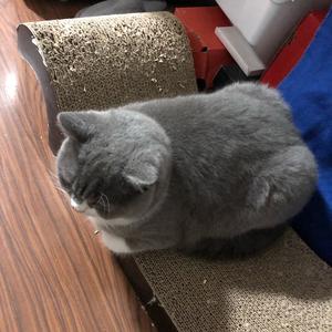 用户2964926696172头像