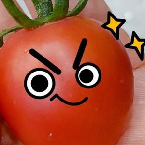 西红柿头像 微信图片