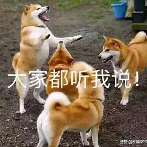 四九31头像