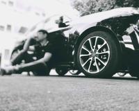 正直啊虎仔头像