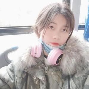 一只小妍哥头像
