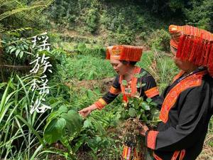 瑶老赵药浴养生头像