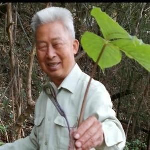 李太公养生酒头像