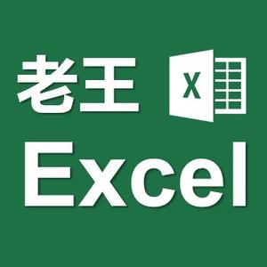 老王Excel头像