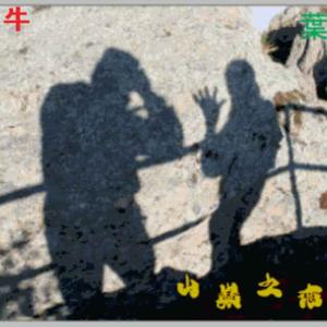0温顺的野牛9头像