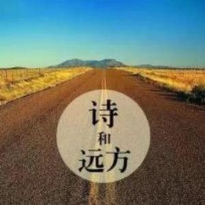 段不二头像