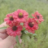 差一点上大学头像