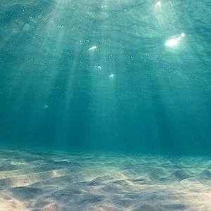 Nirvana267头像