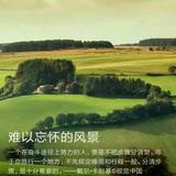 远见卓识四季平平安安头像