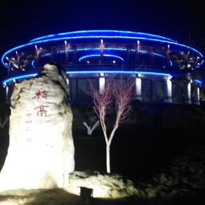 我爱老山兰3头像