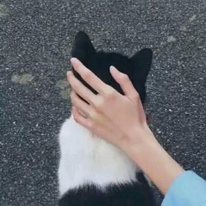 卜笕脦头像