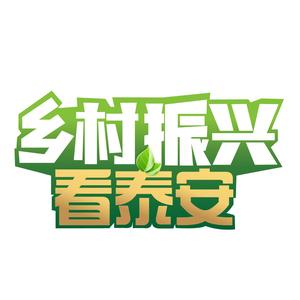 乡村振兴看泰安头像