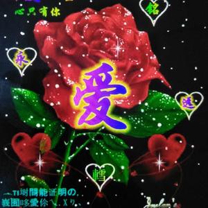 张忠国380头像