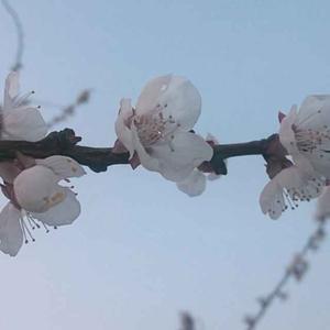 hihihi68671933头像