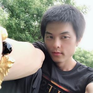 文明重启黑马头像