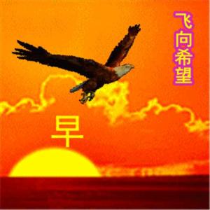 生来彷徨5857头像