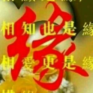 东方257067904头像