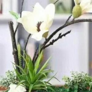 小苹果77414头像