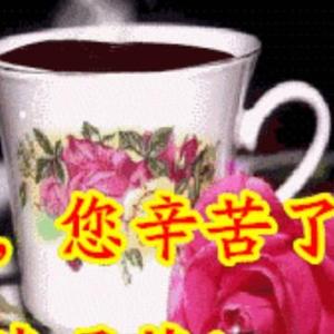 如如家V乡村佳音头像