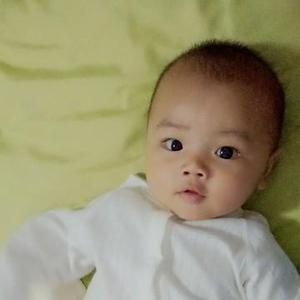 罗夫人Y小太阳头像