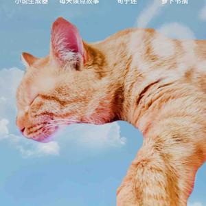 H浪浪头像