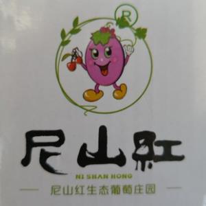 尼山红头像