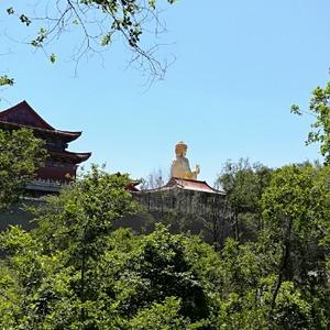 亲切菠萝Ki头像