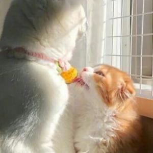 敏点君头像