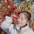或许这就是人生7头像