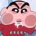 吃货宋大鲜头像