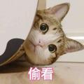 19啥都看头像