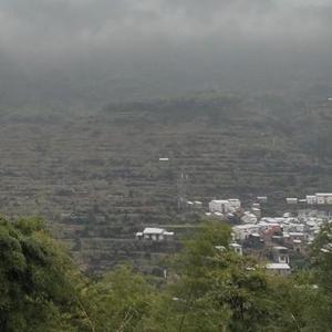 大山沟沟里面的小伙子头像