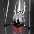 用户3528043626295头像