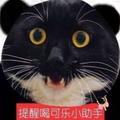 KK小熊猫头像