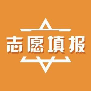 高考志愿填报李老师头像
