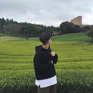 森头像