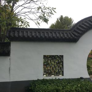 奋斗一生Y头像