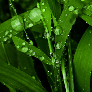 西瓜视频小雨解说头像