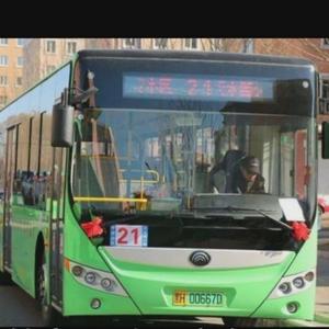 中国公交新能源纯电动头像