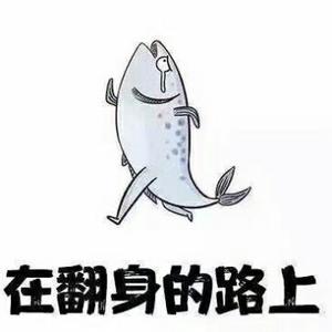 a咸鱼a翻身a头像