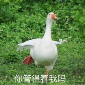 QAQ好土的名字头像