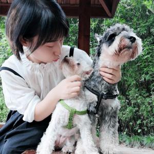 蔺相如没有蔺头像